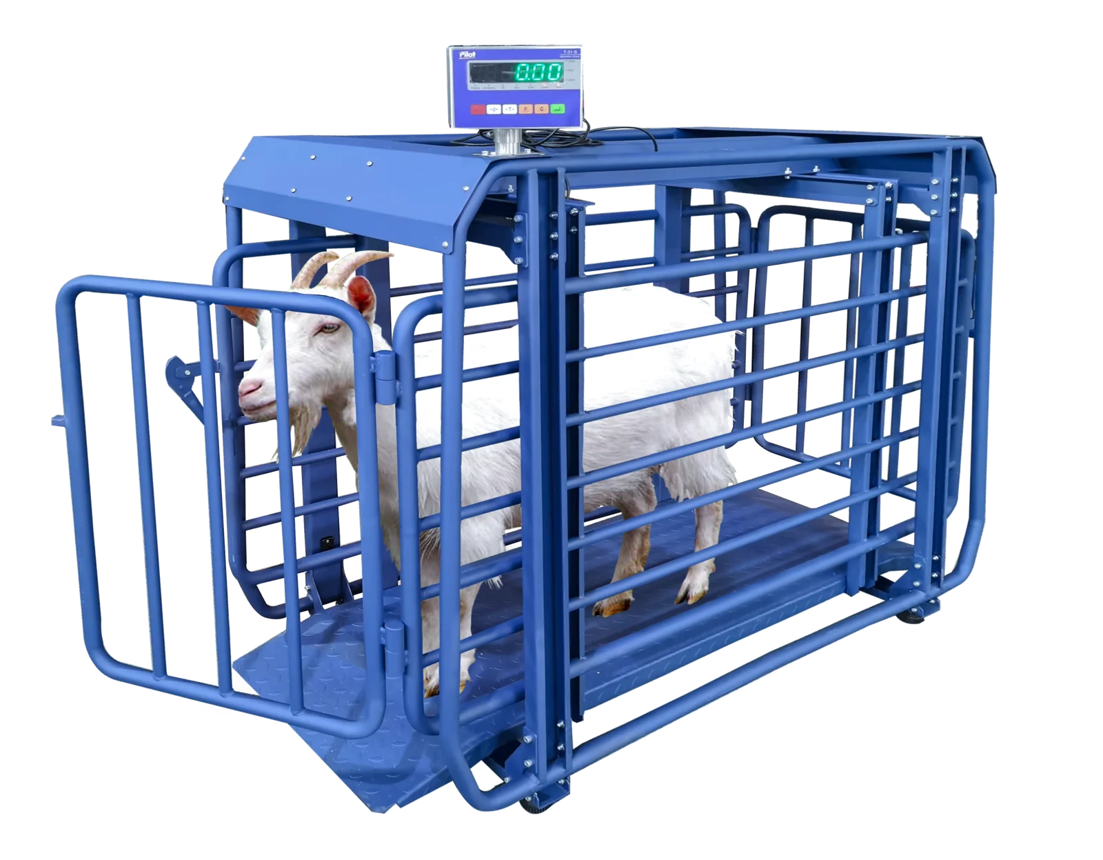 EWQ Livestock Platform Scale EWQ1800-500 — product photo 1