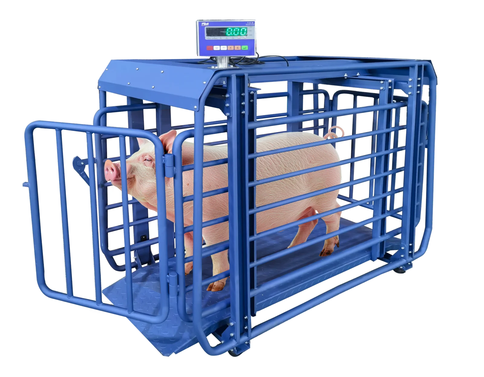 EWQ Livestock Platform Scale EWQ1800-500 — product photo 2