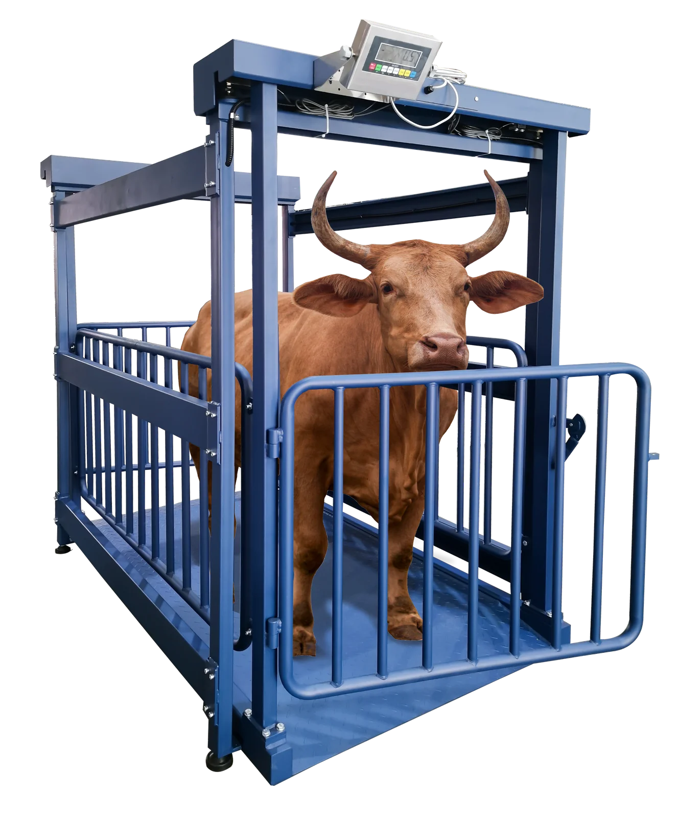 NW/NWQ Livestock Platform Scale NWQ2000-1.5 — product photo 6